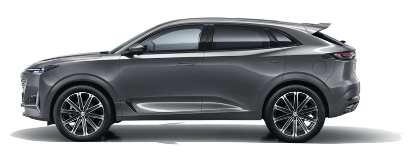 Жұлдызды сұр