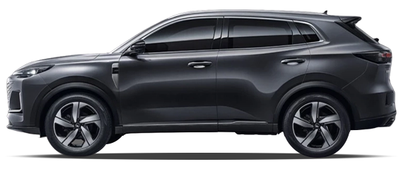 Жұлдызды сұр